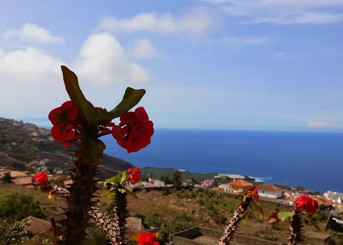 Vv Estrella Del Norte Lägenhetshotell 3*