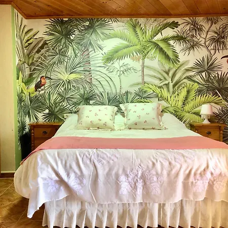 Hotel apartamentowy Vv Estrella Del Norte