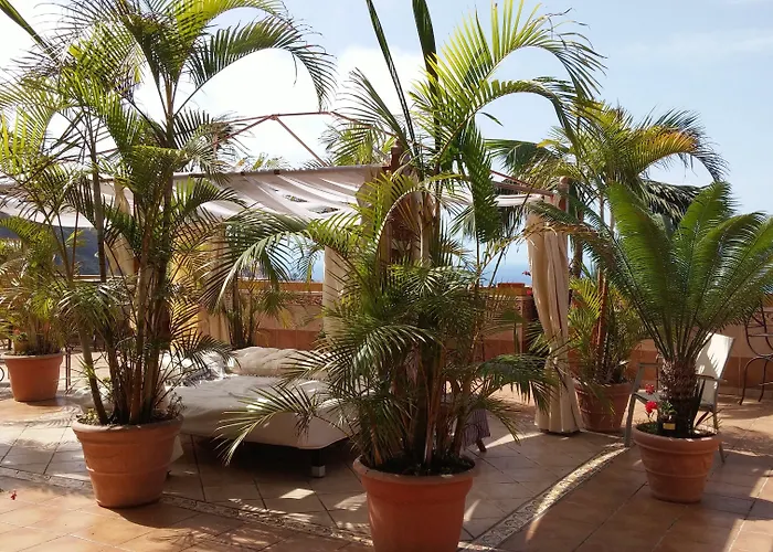 Vv Estrella Del Norte Aparthotel Icod De Los Vinos